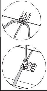 ELBRCLIP_1 - 5e54d555-e94a-40b9-8dd0-2371551c544f.jpg