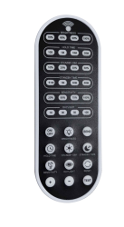 LSL-REMOTEMOTIONDAY001_1 - a71f150a-5a3c-401e-bf50-3f689de7ad9c.png